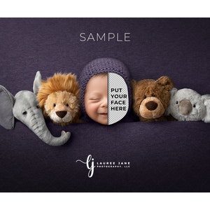 Purple newborn digital backdrop background animal elephant lion teddy bear koala wrap sack bonnet transparent cute png unique download girl