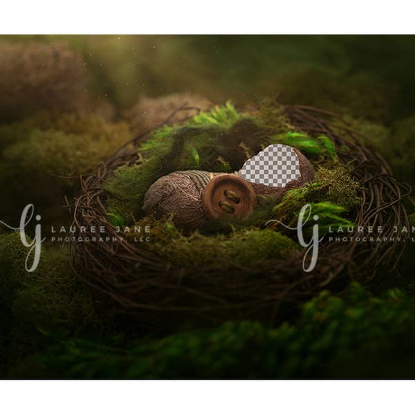 Transparent newborn digital backdrop, unique, nest, fairy, moss, plants, green, newborn digital background, newborn composite, Thumbelina