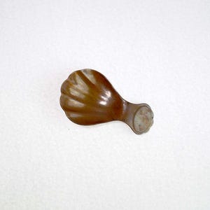 Puede incluir: Un pequeño tirador de cajón de color bronce de estilo antiguo con un diseño en forma de concha. El tirador tiene una forma redondeada y festoneada en un extremo y una base circular en el otro, con un pequeño elemento decorativo.