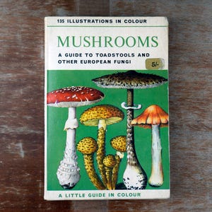 Vintage 1967 Mushroom Guide by Pierre Montarnal – European Fungi Book