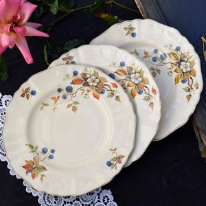 Set of 3 Vintage J&G Meakin England Sunshine Rare Pattern Andree Blackberry Design Lunch Plates