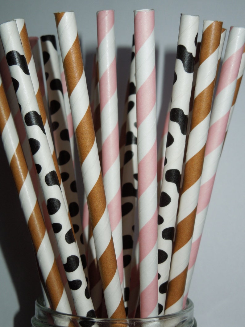 50 Cowgirl Birthday Party Paper Straws Farm Farmer Etsy