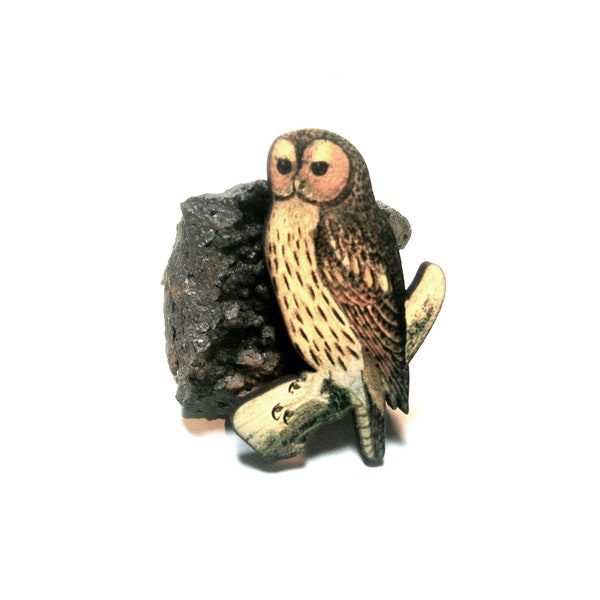 Brooch owl or sloth wood, pin, animal, nature, badge, pin, button