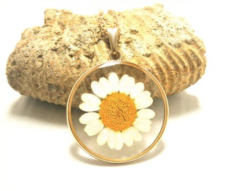 Echte Blüten Halskette, Gänseblümchen Kette, gepresste Blume Anhänger Gold vergoldet, natürliche Blumenkette