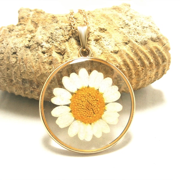 Echte Blüten Halskette, Gänseblümchen Kette, gepresste Blume Anhänger Gold vergoldet, natürliche Blumenkette