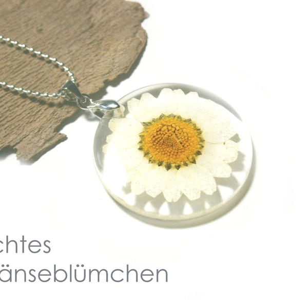 Gänseblümchen Kette, echte Blüte, Halskette silber, gepresste Blume, natürliche Blütenkette