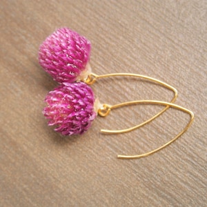 Echte Klee Blüten Ohrringe, vergoldete Edelstahl Ohrhänger mit echter Blume in Harz Bild 2