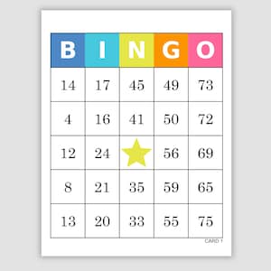 1000 Bingo Cards Pdf Download, 1 Per Page, Instant Printable Fun Party Game