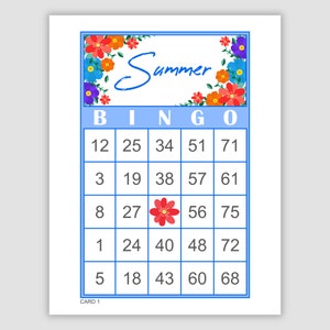 Summer Bingo Cards, 500 Cards, Pdf Download, 1 and 2 Per Page, Instant Printable Fun Party Game