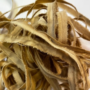 May include: Close-up of a pile of tan-colored ribbon with a frayed edge. The ribbon has a soft, velvety texture and a slightly distressed appearance. The ribbon is ideal for crafting and decorative purposes.