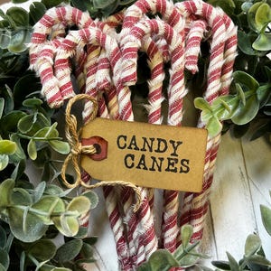 May include: A collection of red and white striped candy canes, arranged in a decorative display. A brown tag tied with twine reads "CANDY CANES". The candy canes are surrounded by green foliage, creating a festive holiday scene.