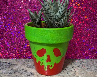 Poison apple succulent pot