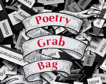 Poetry Magnets Grab Bag / Mystery Surprise Refrigerator Word Quote Magnets / Educational Teacher Writer Poet Gift / Classroom Office Decor