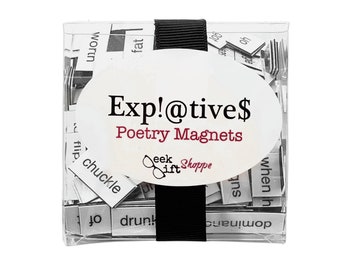 Expletives Poetry Magnets / Refrigerator Magnets / Adult Gift / Gag Gift / Curse Words / Bad Words / Profane Words / Profanity / Swear Word