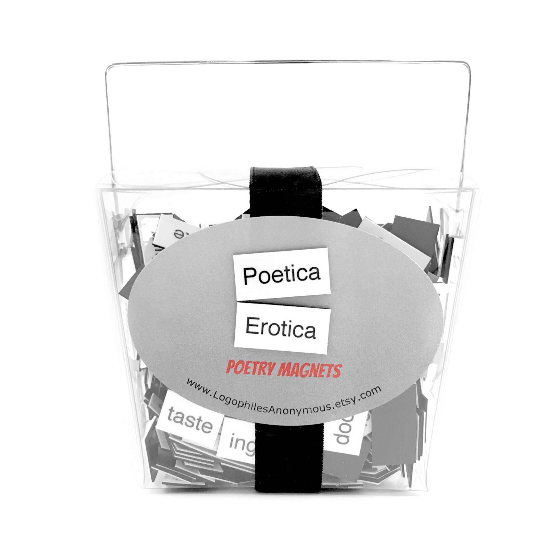 Erotic magnetic poetry #6