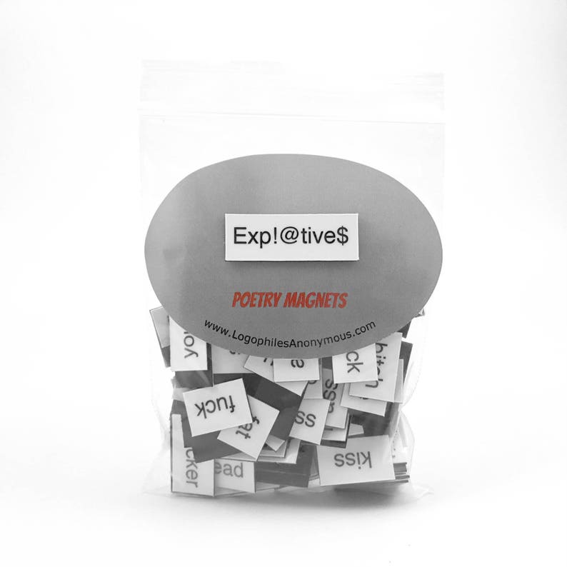Expletives Magnetic Poetry Refrigerator Magnets Adult Gift Etsy