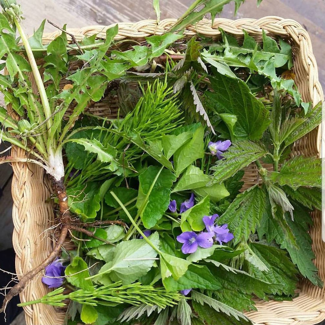 Spring Bitters Tonic Etsy