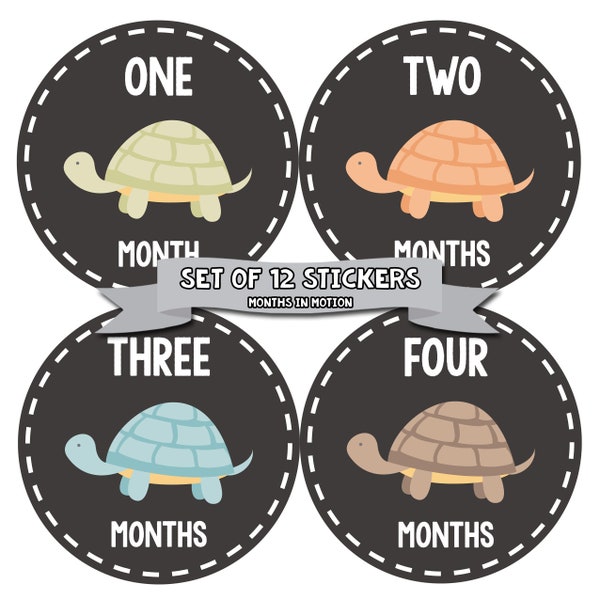 Monthly Baby Stickers, Neutral Monthly Bodysuit Stickers, Monthly Stickers, Baby Month Stickers, Baby Monthly Stickers, Turtle 1090