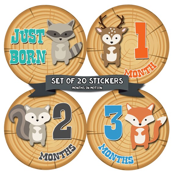month stickers for baby baby monthly stickers baby month etsy