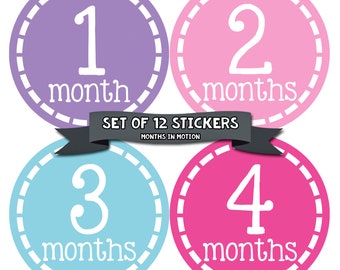 Monthly Baby Stickers Baby Month Stickers Baby Girl Month Stickers Monthly Photo Stickers Monthly Milestone Stickers 453