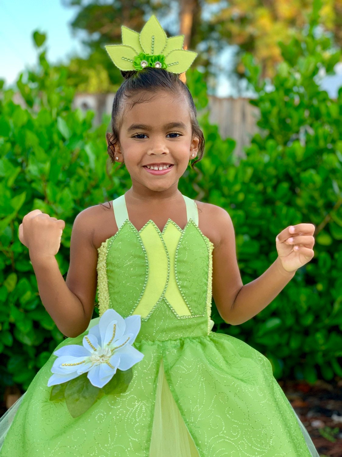 Princess Tiana Dress Princess Tiana Costume Princess and the