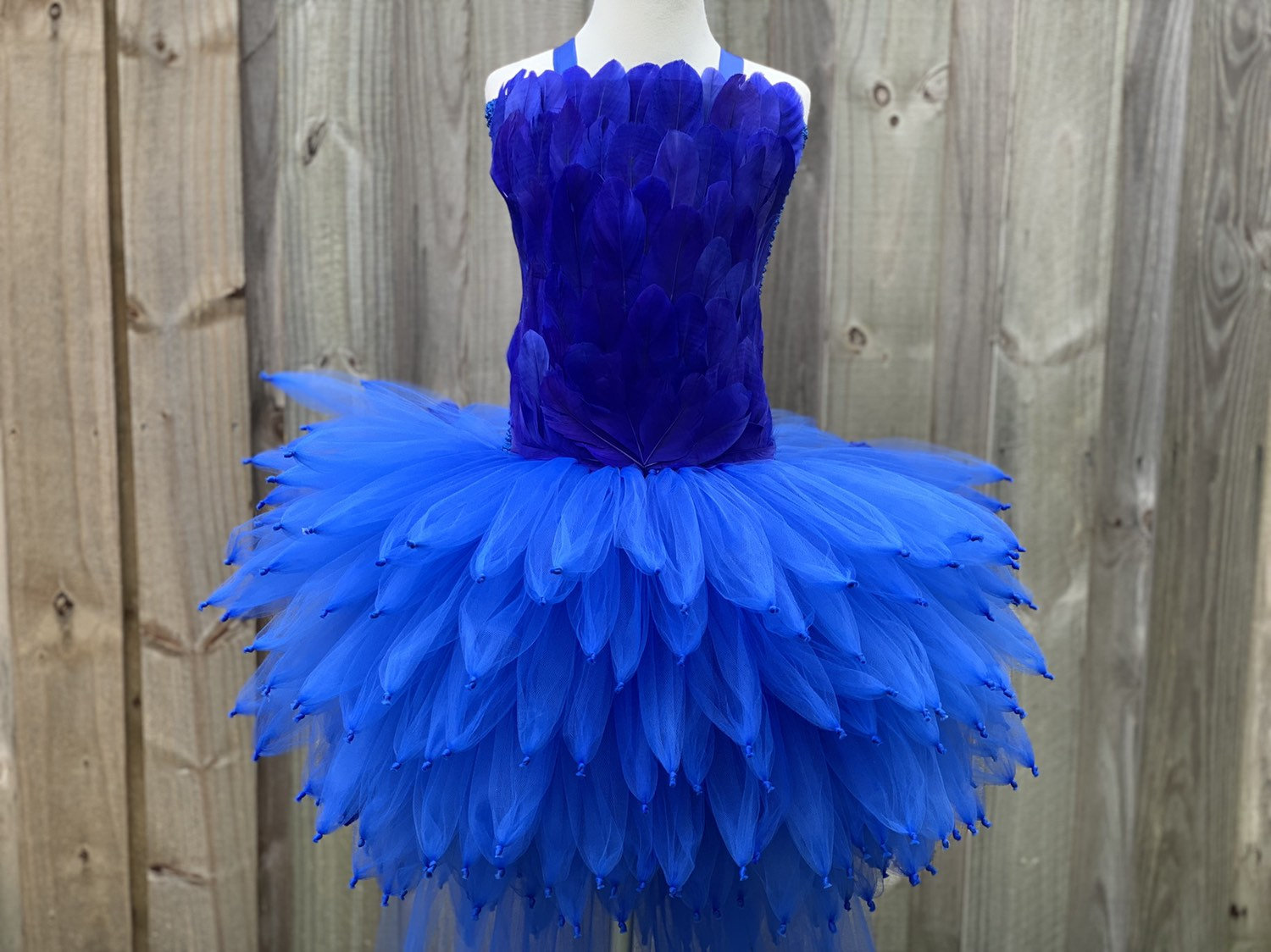 Blue macaw dress, blue jay costume, parrot costume, blue bird costume, rainforest party costume, blue feather dress, macaw costume