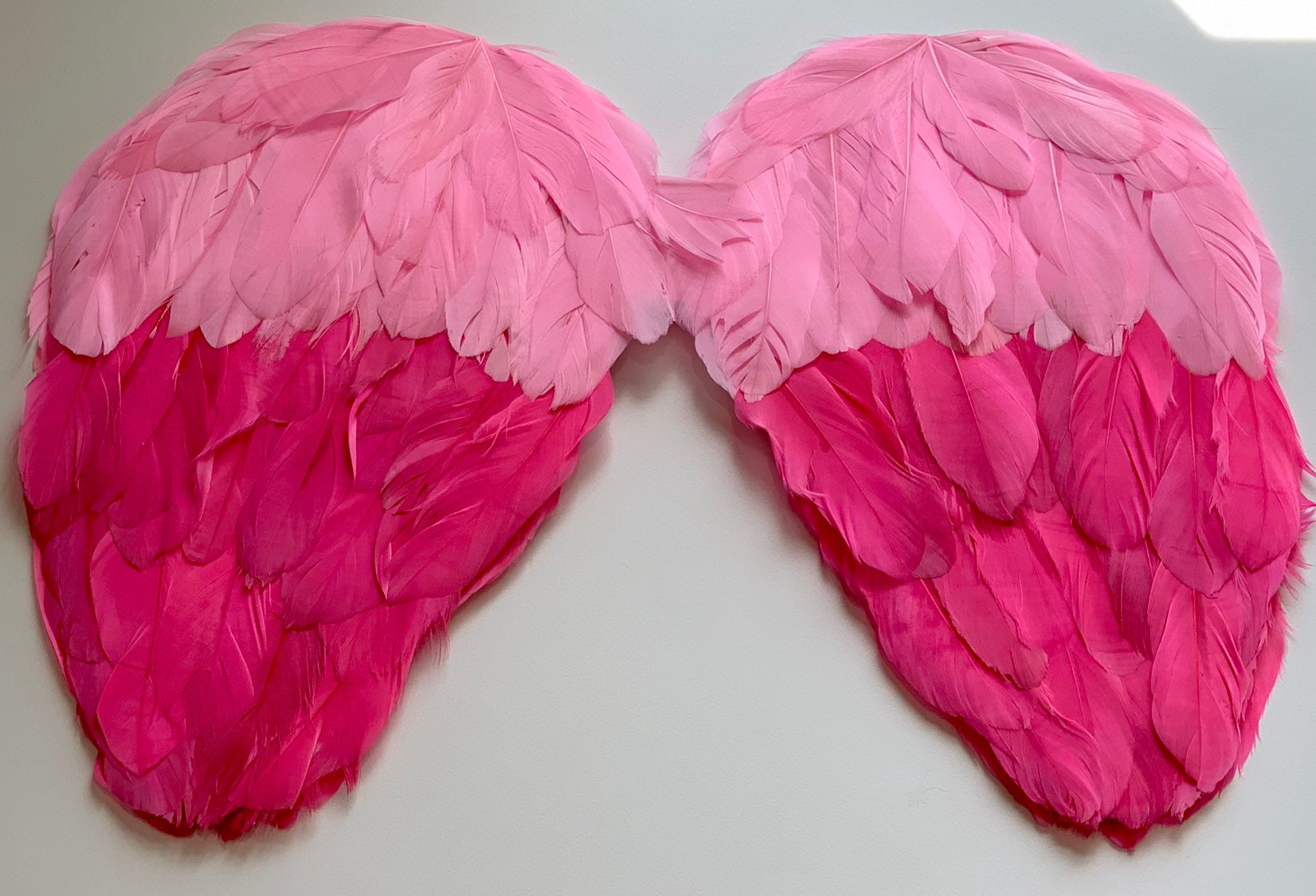 Pink feathers. Flying fluffy swan, falling flamingo 3d wings feather, By  YummyBuum