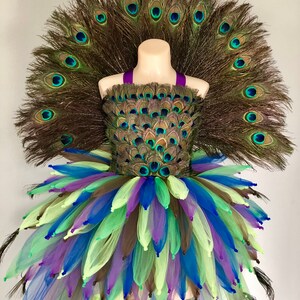 May include: A peacock costume for a child, featuring a tutu with blue, green, and purple tulle, a peacock feather bodice, and a separate peacock feather tail.