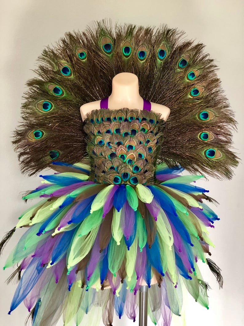 May include: A peacock costume for a child, featuring a tutu with blue, green, and purple tulle, a peacock feather bodice, and a separate peacock feather tail.