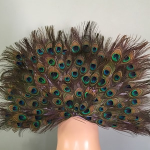 May include: A peacock feather fan with brown, green, and blue feathers. The feathers are arranged in a fan shape and are spread out.