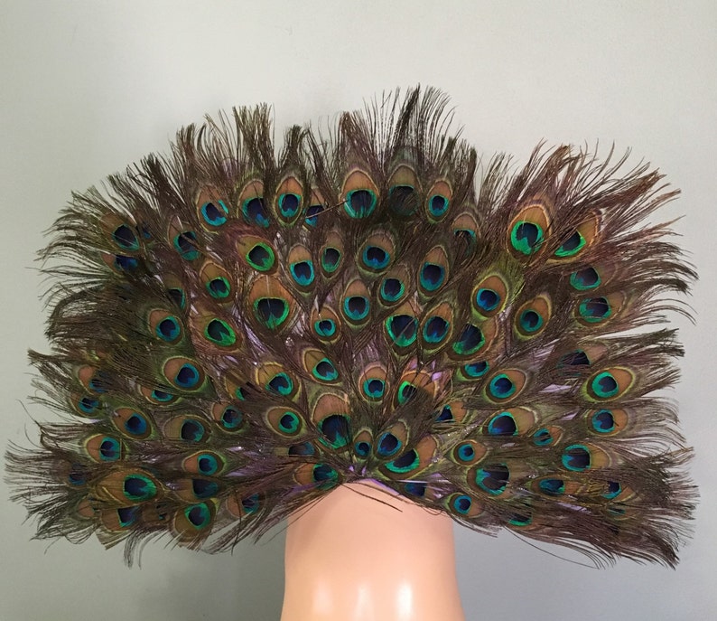 May include: A peacock feather fan with brown, green, and blue feathers. The feathers are arranged in a fan shape and are spread out.