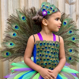 May include: A young girl wearing a peacock-themed tutu costume with a blue bodice, green and purple tulle skirt, and a peacock feather headband. The bodice is decorated with peacock feathers.
