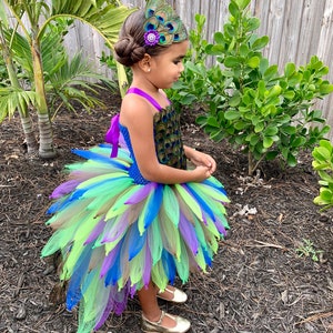 May include: A young girl wearing a peacock-themed tutu dress with a green, blue, and purple tulle skirt. She is wearing a headband with peacock feathers and a purple flower.