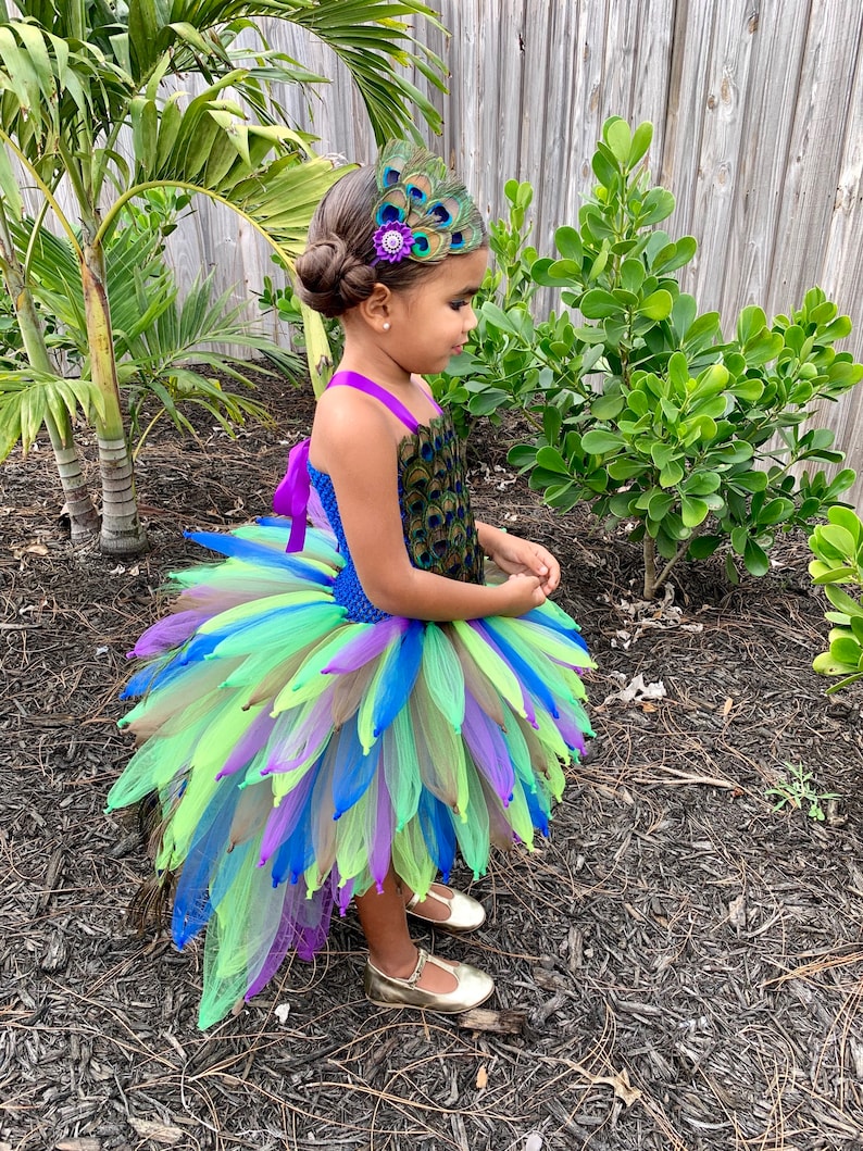 May include: A young girl wearing a peacock-themed tutu dress with a green, blue, and purple tulle skirt. She is wearing a headband with peacock feathers and a purple flower.
