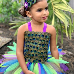 May include: A young girl wearing a peacock-themed tutu dress with a green, blue, and purple tulle skirt. She is wearing a peacock feather headband with a purple flower accent.