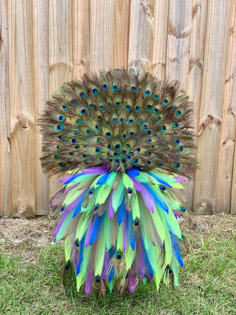 May include: A peacock feather costume with a large, colorful fan of feathers in shades of green, blue, and purple. The feathers are arranged in a circular pattern, creating a dramatic and eye-catching effect.