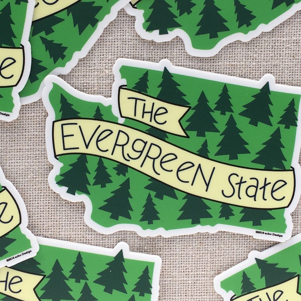 The Evergreen State Vinyl Sticker / Modern Illustrated Washington State Sticker / Washington Bumper Sticker / Hand Lettered / Cool Sticker