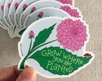 Grow Where You Are Planted Vinyl Sticker, Illustrated Dahlia