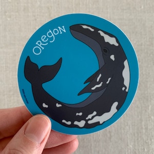 Oregon Gray Whale Vinyl Sticker / Oregon Coast Sticker / Whimsical Grey Whale Illustration / Cute Animal Lover Gift / Dishwasher Safe