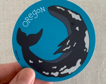 Oregon Gray Whale Vinyl Sticker / Oregon Coast Sticker / Whimsical Grey Whale Illustration / Cute Animal Lover Gift / Dishwasher Safe