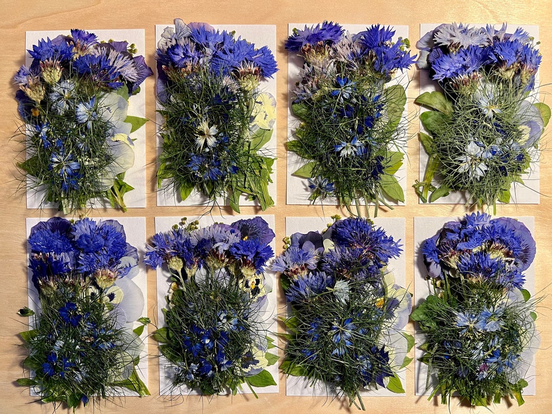 35 Pcs meadow' EDIBLE Pressed Flowers & Herbs Chemical FREE, Garden