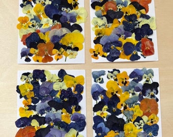 40 pcs *EDIBLE* pressed Viola *flowers* - Chemical FREE, garden/greenhouse grown, hand pressed for baking/decorating