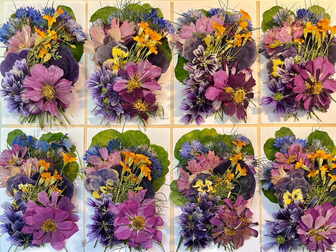 60 Pcs garden Party EDIBLE Pressed Flowers & Herbs Chemical Free