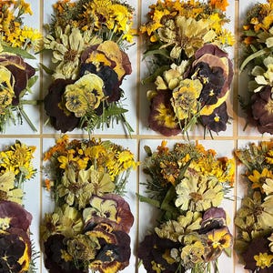 70 pcs ‘Autumn’ *EDIBLE* pressed flowers & herbs - chemical free, garden grown, hand pressed for baking/decorating