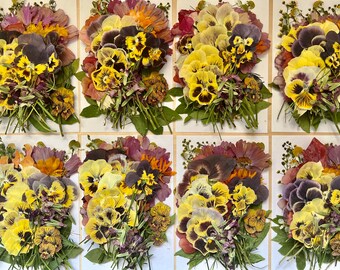 70 pcs 'Sunrise' *EDIBLE* XL PREMIUM pressed flowers & herbs - Chemical free, garden grown, hand pressed for baking/decorating