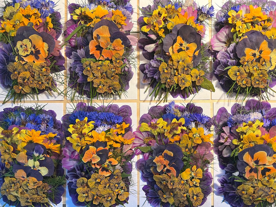 70 Pcs 'whimsy' EDIBLE Pressed Flowers & Herbs Chemical FREE, Garden