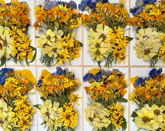 50 pcs ‘Sunshine' *EDIBLE* pressed flowers & herbs - Chemical FREE, garden grown, hand pressed for baking/decorating