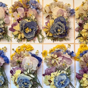 80 fleurs et herbes de printemps *COMESTIBLES* - sans produits chimiques, cultivées dans le jardin, pressées à la main pour la cuisson/la décoration