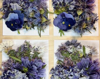 40 pcs ‘Meadow' *EDIBLE* pressed flowers & herbs - Chemical FREE, garden grown, hand pressed for baking/decorating