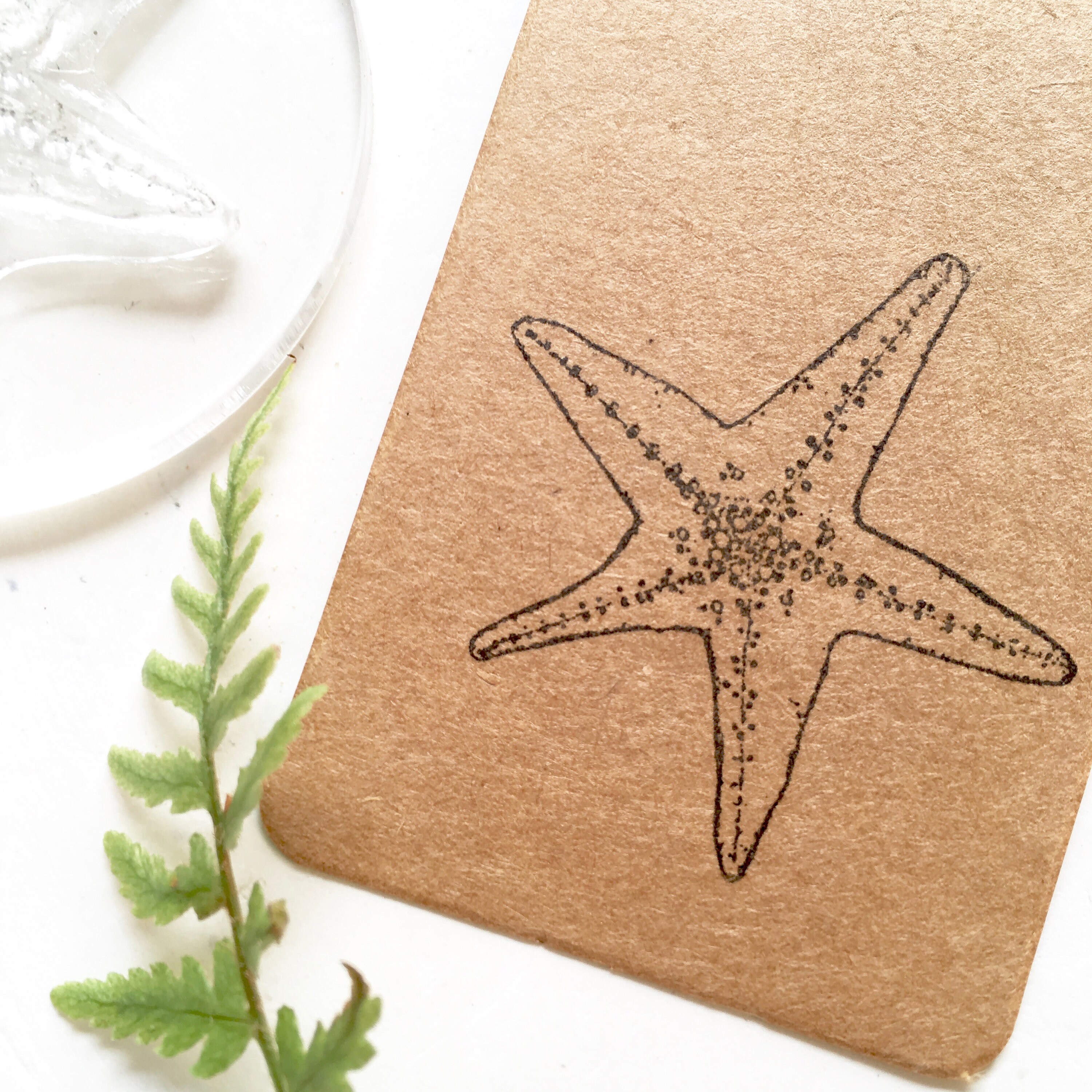 Starfish Rubber Stamp